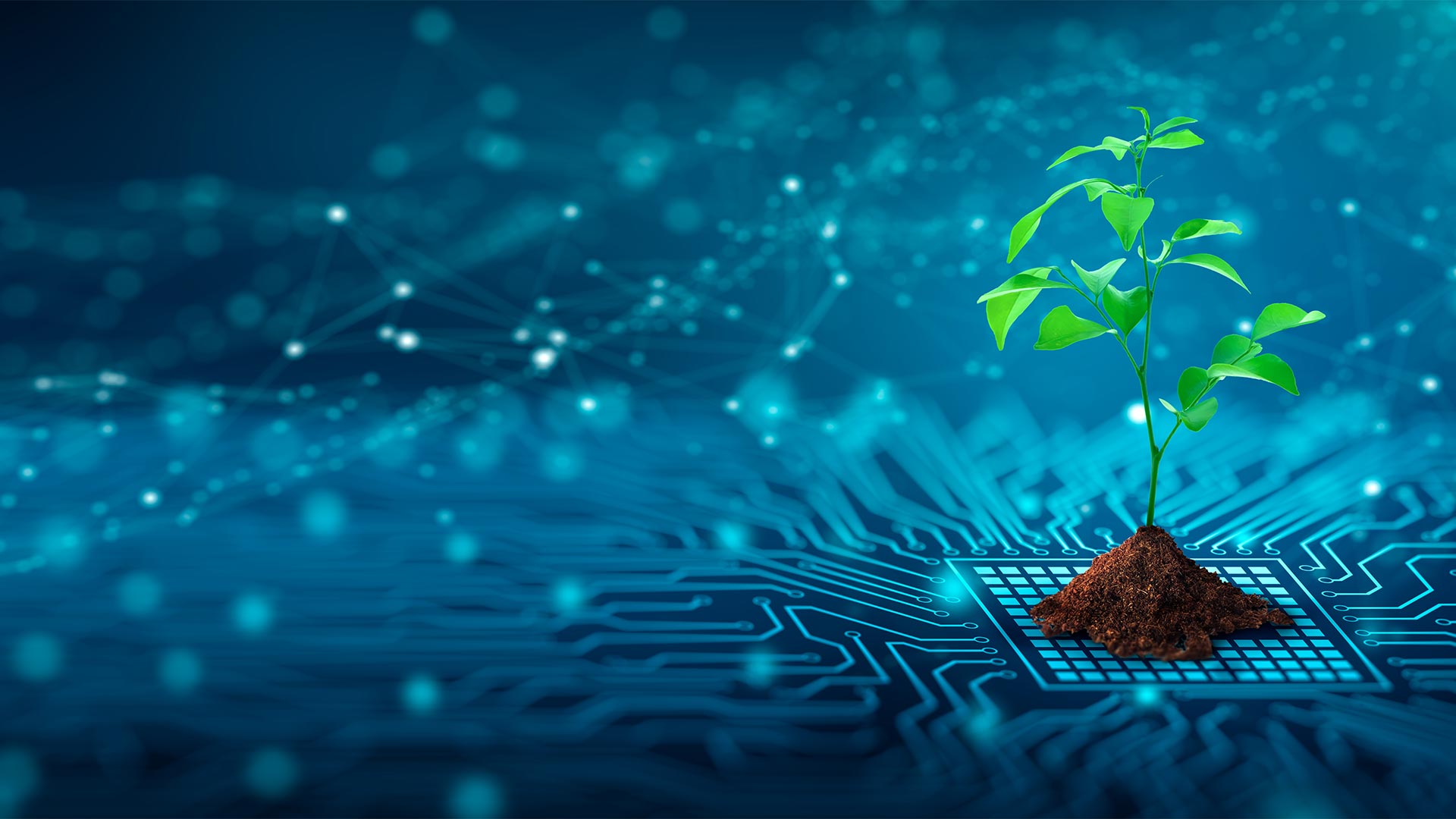 Plante verte poussant d’un circuit électronique – symbole du réseau fibre optique FTTH écologique de Morges4net à Morges